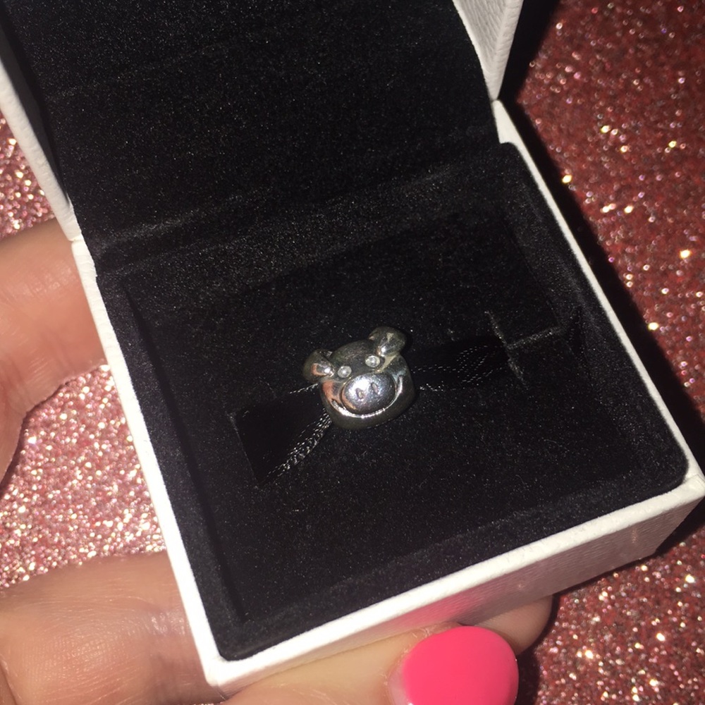 RETIRED PANDORA CHARM